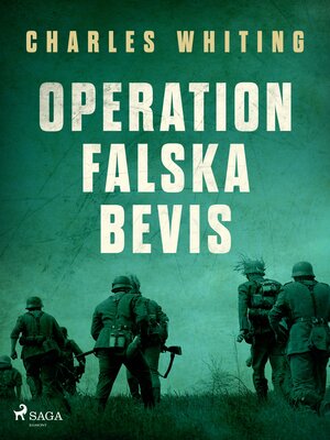 cover image of Operation Falska bevis